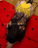 Анкета проститутки Ксения - метро Измайлово, возраст - 28